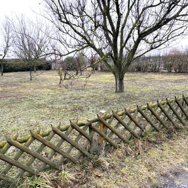 Stavebný pozemok v tichej lokalite , Kittsee - Záhrada v Kittsee s ovocnými stromami a dreveným plotom, vhodné pre Pozemky - bývanie.