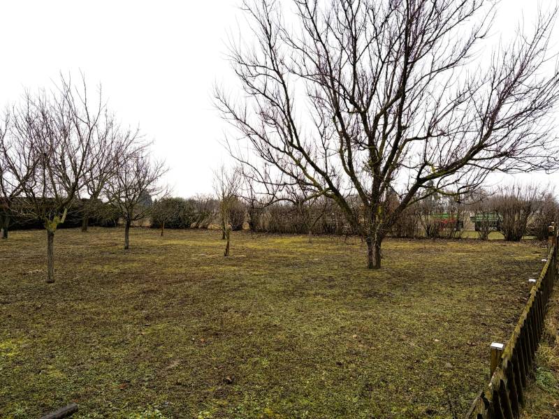 Stavebný pozemok v tichej lokalite , Kittsee - Pozemky - bývanie v Kittsee so stromami a trávnatou plochou, obklopené plotom.