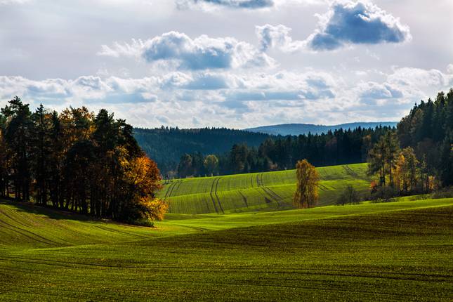 Beša – 4.571 m2 POĽNOHOSPODÁRKA PÔDA a LESY - Zelené poľnohospodárske a lesné pozemky v Beši s kopcovitým horizontom a listnatými stromami.