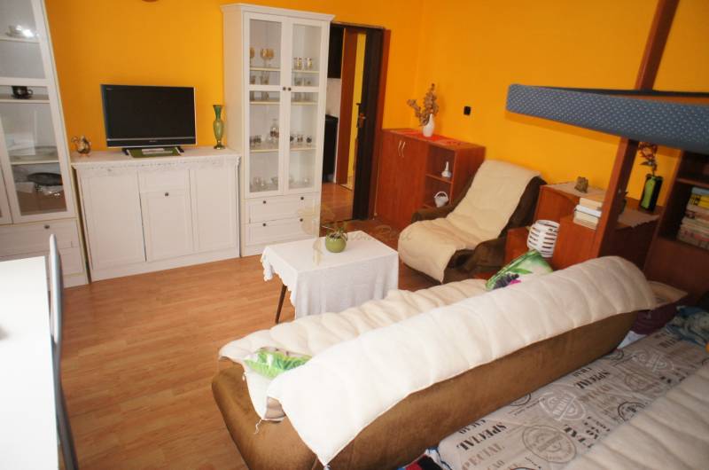 Veľký 1-izb. byt v tehlovom dome, Miletičova ul., Ružinov  - 1-izbový byt s podlahou s dreveným dekorom a žltými stenami.