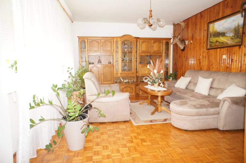 Rodinný dom v obci Čilížska Radváň s veľkým pozemkom - Obývacia izba rodinného domu s drevenou stenou, pohovkou a rastlinami.