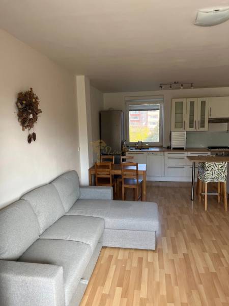 3-izb. byt, Palkovičova ul., Ružinov, lodžia, 4.p./12 - Obývacia izba s kuchyňou v 3-izbovom byte, podlaha s dreveným dekorom, sivá pohovka.