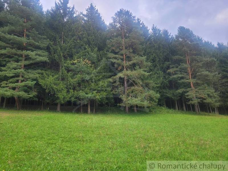 Stavebný pozemok pod lesom s pekným výhľadom na Lúky a Lazy pod Makyto - Lúky Záhrady predaj reality Púchov