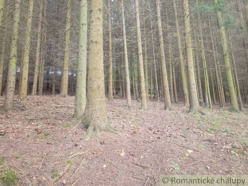 Stavebný pozemok pod lesom s pekným výhľadom na Lúky a Lazy pod Makyto - Lúky Záhrady predaj reality Púchov