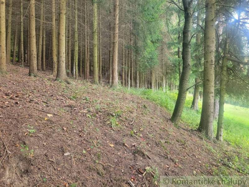 Stavebný pozemok pod lesom s pekným výhľadom na Lúky a Lazy pod Makyto - Lúky Záhrady predaj reality Púchov