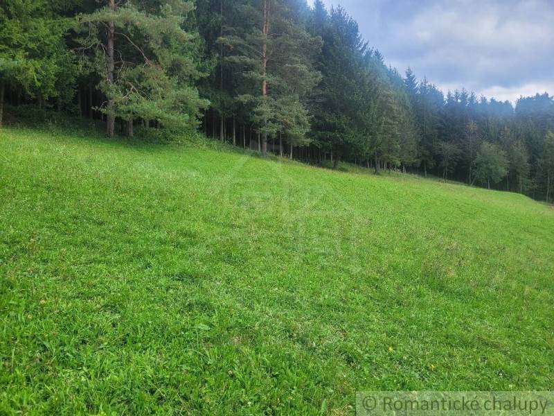 Stavebný pozemok pod lesom s pekným výhľadom na Lúky a Lazy pod Makyto - Lúky Záhrady predaj reality Púchov