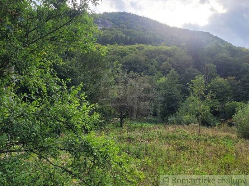 Stavebný pozemok pod lesom končiaci potôčikom v krásnom prírodnom pros - Krajina v Beluši s pozemkami - bývanie, obklopená stromami a kopcami.