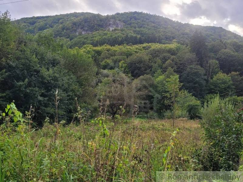 Stavebný pozemok pod lesom končiaci potôčikom v krásnom prírodnom pros - Zelené pozemky na bývanie v Beluši s lesnatým kopcom v pozadí.