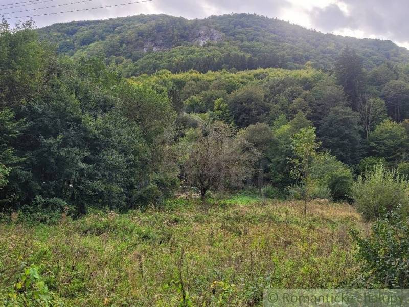 Stavebný pozemok pod lesom končiaci potôčikom v krásnom prírodnom pros - Pohľad na hory a lesy v oblasti rekreačných pozemkov Beluše.