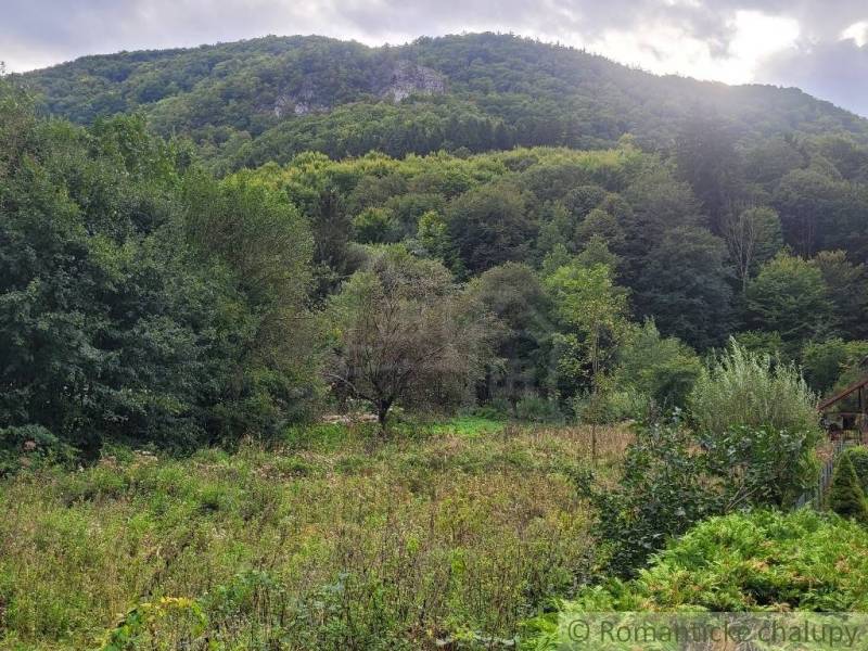 Stavebný pozemok pod lesom končiaci potôčikom v krásnom prírodnom pros - Hustá zelená vegetácia a lesné kopce v pozadí na Rekreačných pozemkoch pri Beluši.