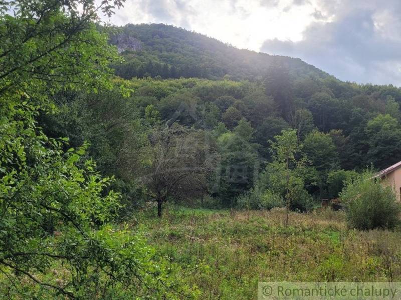 Stavebný pozemok pod lesom končiaci potôčikom v krásnom prírodnom pros - Zeleň a okolitá príroda v Pozemkoch na bývanie v Beluši.