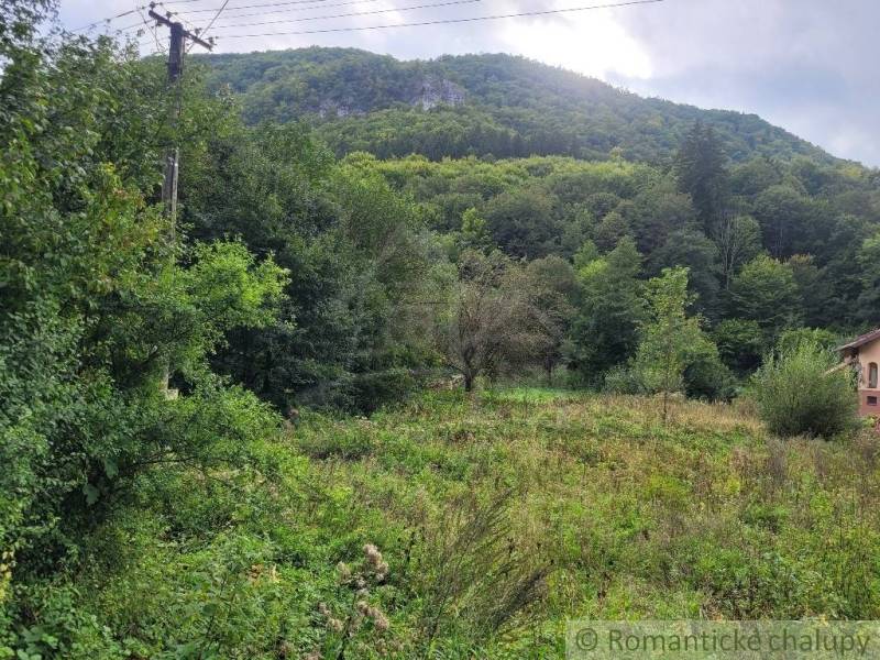 Stavebný pozemok pod lesom končiaci potôčikom v krásnom prírodnom pros - Zalesnené pozemky na bývanie v Beluši s pohľadom na svahovité kopce.