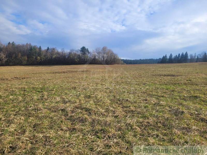 Stavebný pozemok s krásnym výhľadom nad obcou Jasenica pri Považskej B - Široké pole v Jasenici obklopené stromami a modrou oblohou, ideálne pre záhrady.
