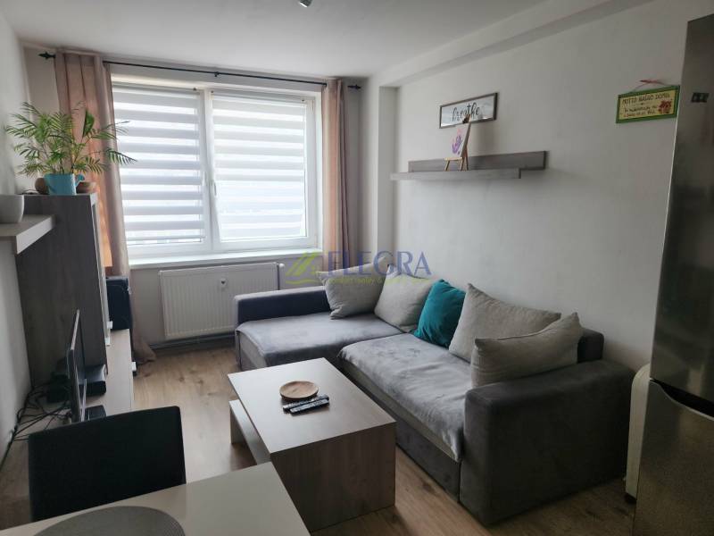 Na prenájom  1,5 izbový byt  Učňovská ulica Šaca - Obývacia izba s pohovkou, stolíkom a podlahou s dreveným dekorom v 2-izbovom byte.