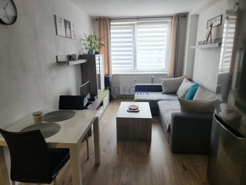 Na prenájom  1,5 izbový byt  Učňovská ulica Šaca - Obývacia izba v 2-izbovom byte s pohovkou a podlahou s dreveným dekorom.