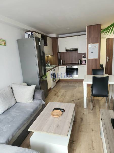 Na prenájom  1,5 izbový byt  Učňovská ulica Šaca - Obývacia izba s kuchynským kútom, pohovkou a podlahou s dreveným dekorom v 2-izbovom byte.