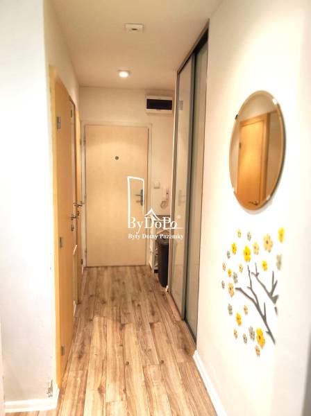 2-izbový byt, 49 m2, Cabanova ul., Bratislava - Dúbravka - Chodba v 2-izbovom byte na ulici Cabanova s drevenou podlahou a zrkadlom.