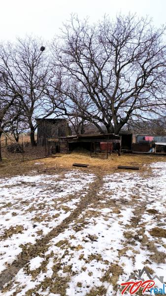 Pekný stavebný pozemok v obci Krásnohorské Podhradie - Zasnežené pozemky na bývanie so stromami na Mierovej ulici v Krásnohorskom Podhradí.