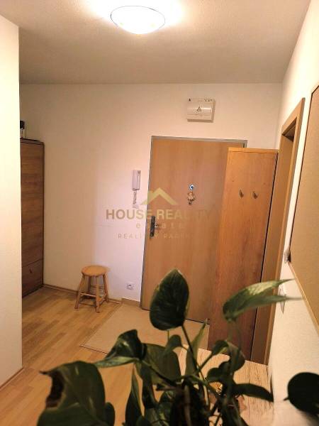 Novostavba s parkovaním 2 izbový byt, Jégeho ulica, BA II. Ružinov - Vstupná časť 2-izbového bytu s podlahou s dreveným dekorom a izbovou rastlinou.