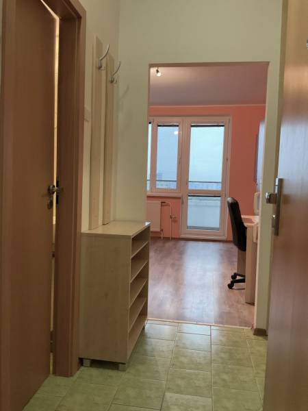 I prenájom Útulne zariadená garsónka s loggiou – Petržalka - Garsónka s podlahou s dreveným dekorom a nábytkom, s výhľadom z okna.