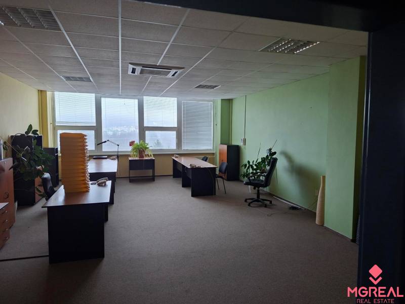 TOP CENA: Administratíva 420m2, Dúbravka - Kancelárie so stolmi, stoličkami a rastlinami na podlahe s dreveným dekorom.