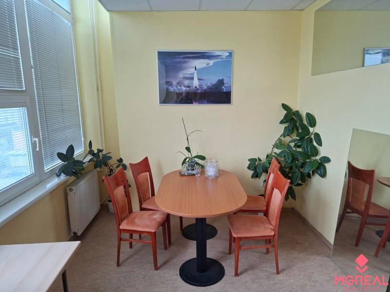 TOP CENA: Administratíva 420m2, Dúbravka - Kancelárie s oválnym stolom a štyrmi stoličkami, rastlinami a obrazom na stene.