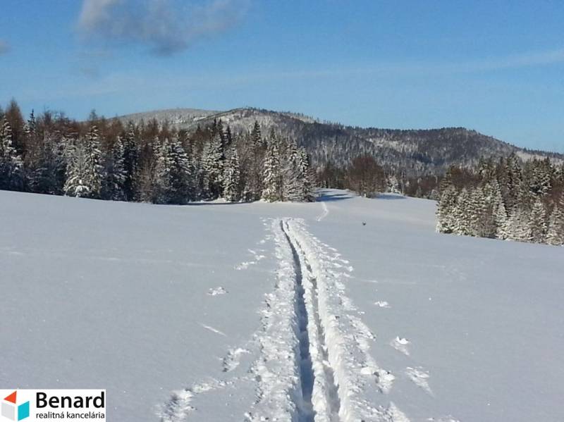 POZEMOK PRI LYŽIARSKOM SVAHU LITMANOVÁ - Rekreačné pozemky pri Litmanovej pokryté snehom, obklopené zasneženými stromami a kopcami.