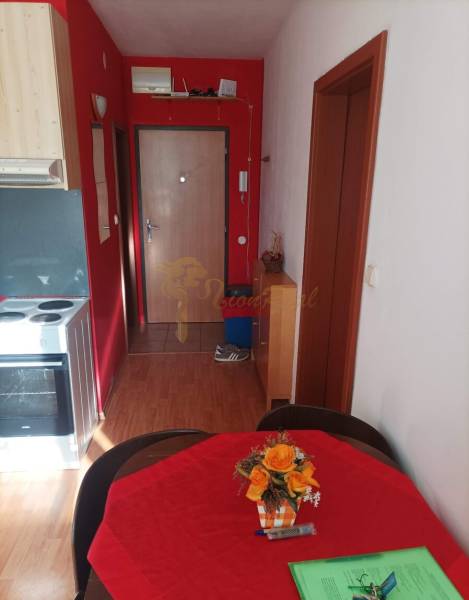 1-izb. byt, Pezinok - Sever, ul. Suvorovova - 1-izbový byt s výraznými červenými stenami a podlahou s dreveným dekorom.