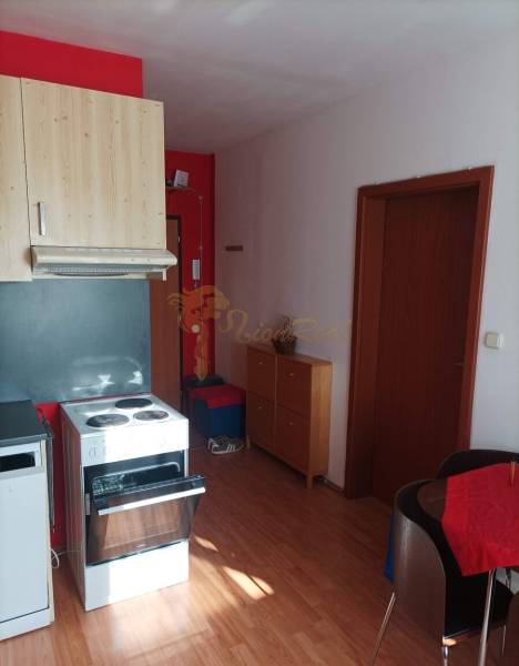 1-izb. byt, Pezinok - Sever, ul. Suvorovova - Kuchyňa v 1-izbovom byte s podlahou s dreveným dekorom.