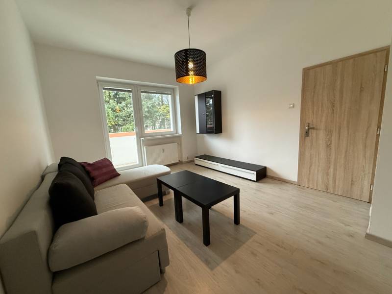 Ponúkame Vám do prenájmu 1 – izbový byt s balkónom v centre Martina - Obývacia izba zariadená sedačkou a stolíkom, podlaha s dreveným dekorom.