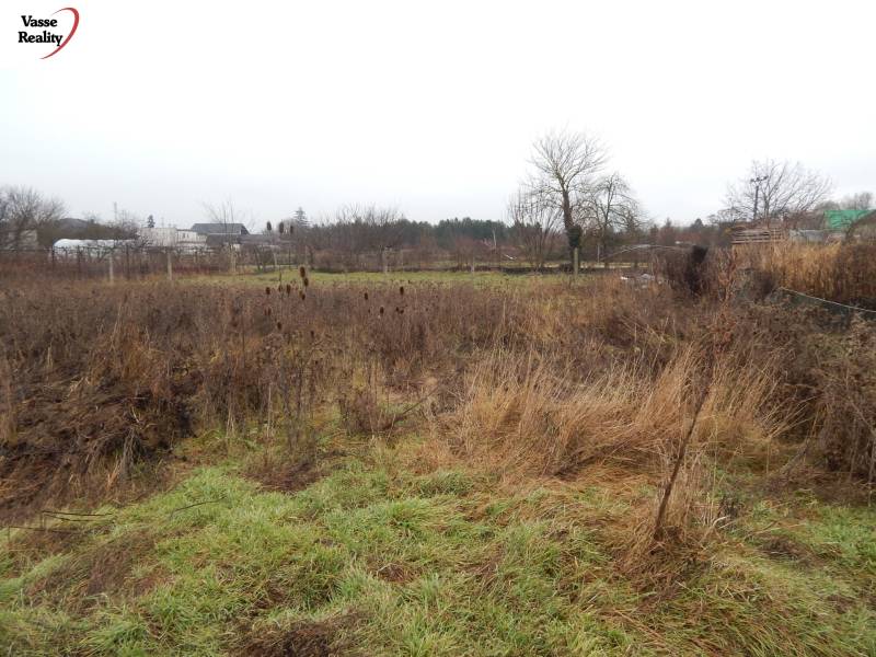  Na predaj 3 izbový dom v Kravanoch nad Dunajom s garážou . - Trávnatý pozemok s kríkmi a stromami v Kravanoch nad Dunajom, ideálny pre rodinný dom.