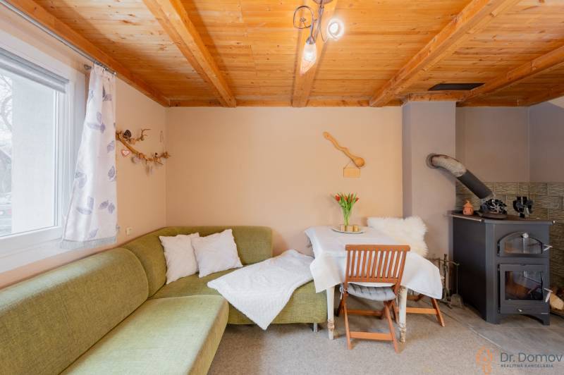 Záhradná chatka Handlová - Interiér chaty s kachľovou pecou, zelenou sedačkou a stolom. Drevený strop a dekorácie.