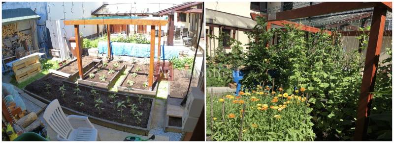 AstonReal: EXKLUZÍVNE predaj rodinný dom Spišská Nová Ves - Ferčekovce - Rodinný dom na Laboreckej v Spišskej Novej Vsi s pestovanou záhradou a kvetmi.