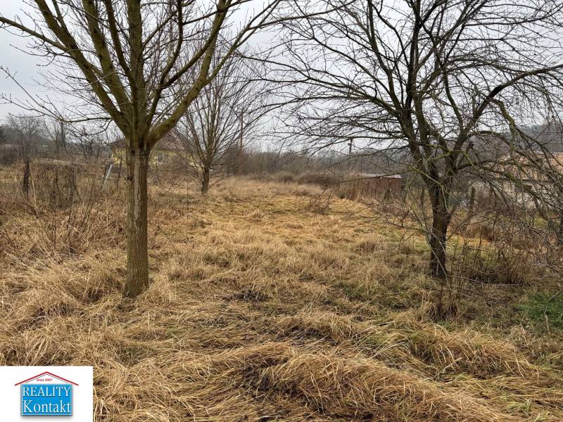 Predám pozemok v obci Dubník okr. Nové Zámky - Pozemok na bývanie v Dubníku na Dubníckej ulici, obklopený stromami a trávnatým porastom.