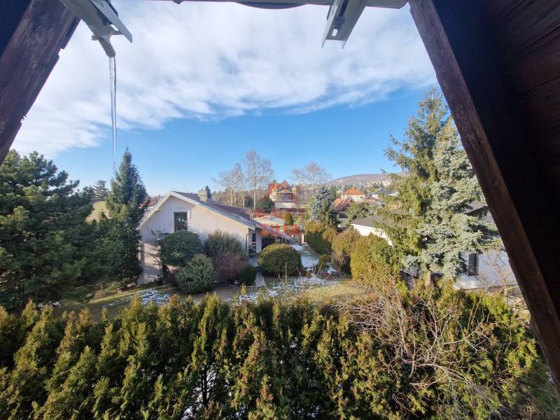 Viacgeneračný rodinný dom / investičná nehnuteľnosť – Dolná časť Zobor - Záhrada rodinného domu s výhľadom na Jeleneckú ulicu v Nitre, obklopená zeleňou.