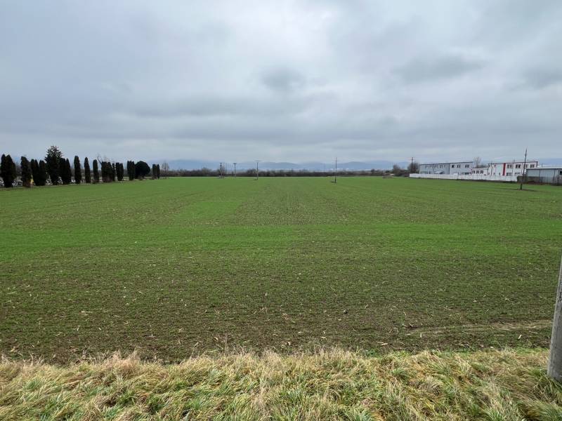 Pruské – Investičný pozemok v komasácii - Pozemky - komerčné v Pruskom so zeleným porastom, stromoradím a priemyselnými budovami v pozadí.