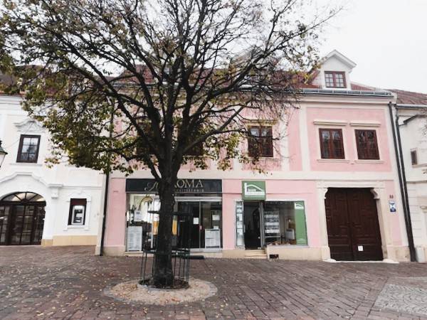 Prenájom obchodného priestoru, Hauptstraße, Hauptstraße, Eisenstadt - Obchodné priestory na Hauptstraße v Eisenstadte s dreveným dekorom, stromom a historickými budovami.