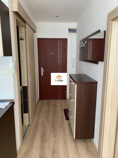 PRENÁJOM – 1-izbový byt po kompletnej rekonštrukcii, Šaľa – Bottova  - Chodba s podlahou s dreveným dekorom, šatníkovou skriňou a vešiakovou stenou v 1-izbovom byte.