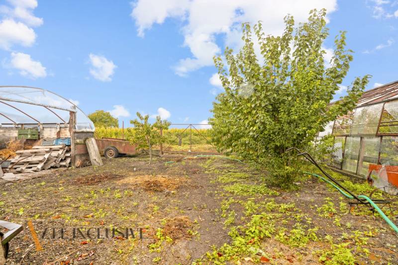 NA PREDAJ 4-IZBOVÝ RD NA VEĽKOM POZEMKU, VRAKÚŇ - Záhrada pri rodinnom dome na Nekyje na Ostrove vo Vrakúni s fóliovníkom a zeleňou.