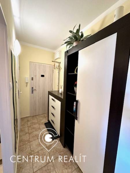 1 izb. zrekonštruovaný byt s veľkou loggiou, Karlova Ves - Útulná chodba s nábytkom a vzorovanou dlažbou v 1-izbovom byte.