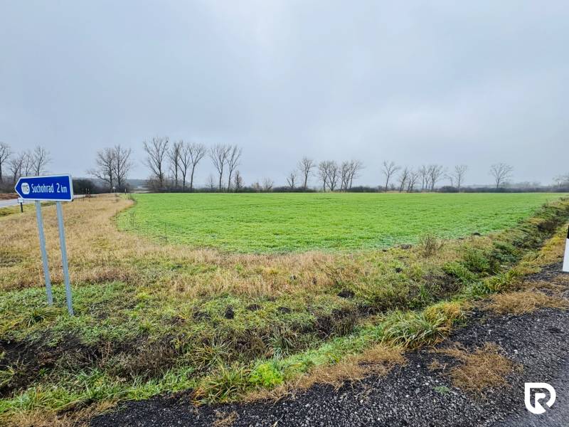 Znížená cena - Investičné pozemky  5722 m2 | Záhorská Ves - Komerčné pozemky v Záhorskej Vsi so zelenou trávou a prázdnou cestou v pozadí.
