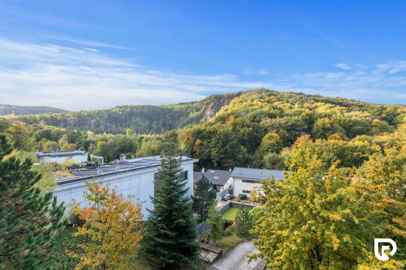 Nadštandardná 6-izbová vila v prominentnej lokalite - Výhľad z Vily na Karpatskej ulici v Marianke s lesným pozadím.