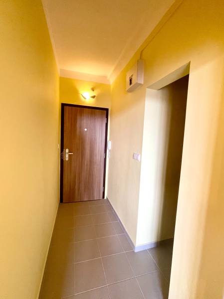 Predáj 1i čiastočne zrekonštruovaný byt s loggiou - Úzky vstupný priestor s dlažbou a drevenými dverami v 1-izbovom byte.