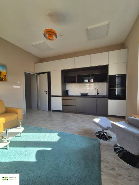 Na prenájom  plne zariadený apartmán na Južnej triede 44, Košice - Interiér 1-izbového bytu s kuchynskou linkou, zeleným kobercom a podlahou s dreveným dekorom.