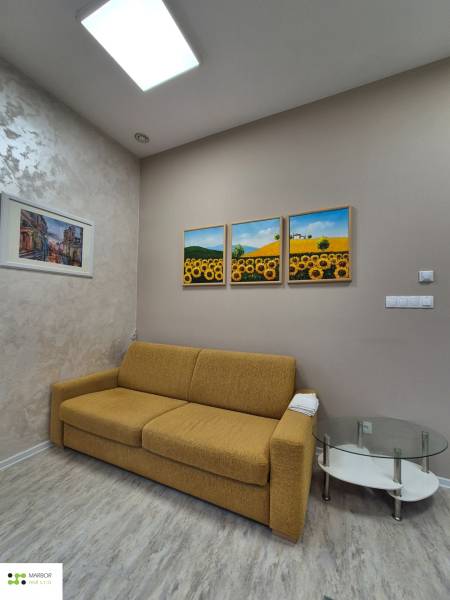 Na prenájom  plne zariadený apartmán na Južnej triede 44, Košice - Obývacia izba 1-izbového bytu, s gaučom a obrazy, na podlahe s dreveným dekorom.