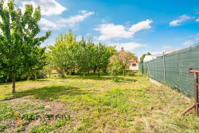NA PREDAJ RODINNÉ DOMY S GARÁŽOU, DUNAJSKÁ STREDA - Záhrada rodinného domu na Gyulu Szabóa v Dunajskej Strede s ovocnými stromami.