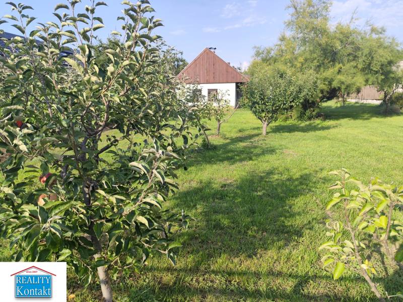 Ponúkame na predaj záhradný domček - Jasová - Záhrada rodinného domu v Jasovej s ovocnými stromami a trávnatým dvorom.
