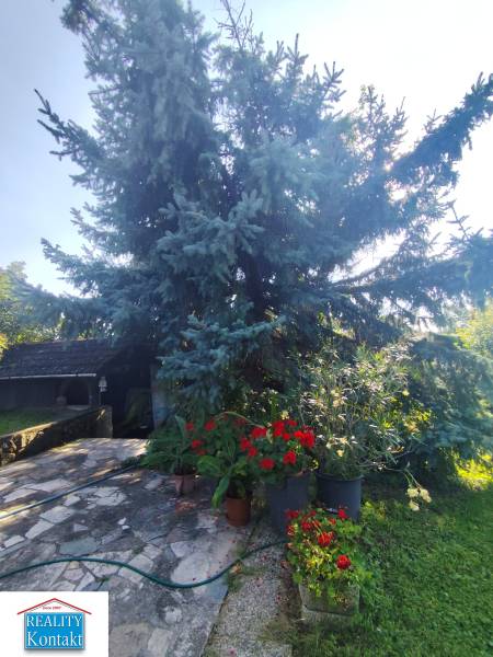Ponúkame na predaj záhradný domček - Jasová - Záhrada pri rodinnom dome v Jasovej so stromom, kvetmi a vydláždenou cestičkou.