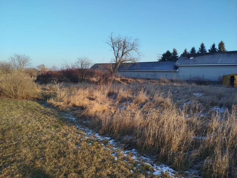 Pozemok pre rodinný dvojdom v centre Galanty – Hody - Pozemky na bývanie na Hodskej ulici v Galante s trávnatým porastom a niekoľkými kríkmi.