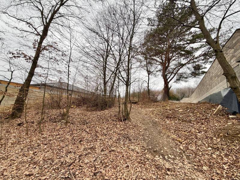 Predaj: Stavebný pozemok 400m2 v Bytči vo vilovej štvrti (MO) - Pozemok na bývanie vo Veľkej Bytči je pokrytý lístím a obklopený stromami.